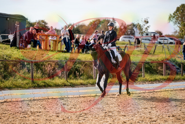 2026_10_03_Siefer-Hof_133449_Z63_93443568 | Professionelle Reitsport-, Turnier- und Eventfotografie von Robert Broda. Galerien mit ausgewählten und bearbeiteten Bildern direkt online ansehen und bestellen.