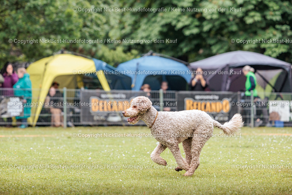RO-Blumenthal-2026-Nickbest-Hundefotografie-4220 | Dein Hund! Dein Moment! Deine Erinnerungen! Hundefotografie in Bremen Blumenthal. Ich fange die besonderen Momente deines Vierbeiners ein – ob Indoor mit Blitzanlage oder in der freien Natur. Sicher dir dein Moment und dein Termin für eure Erinnerungen.