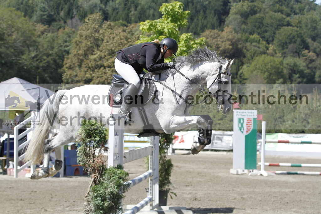 _MG_6318 | equestrian-live-com