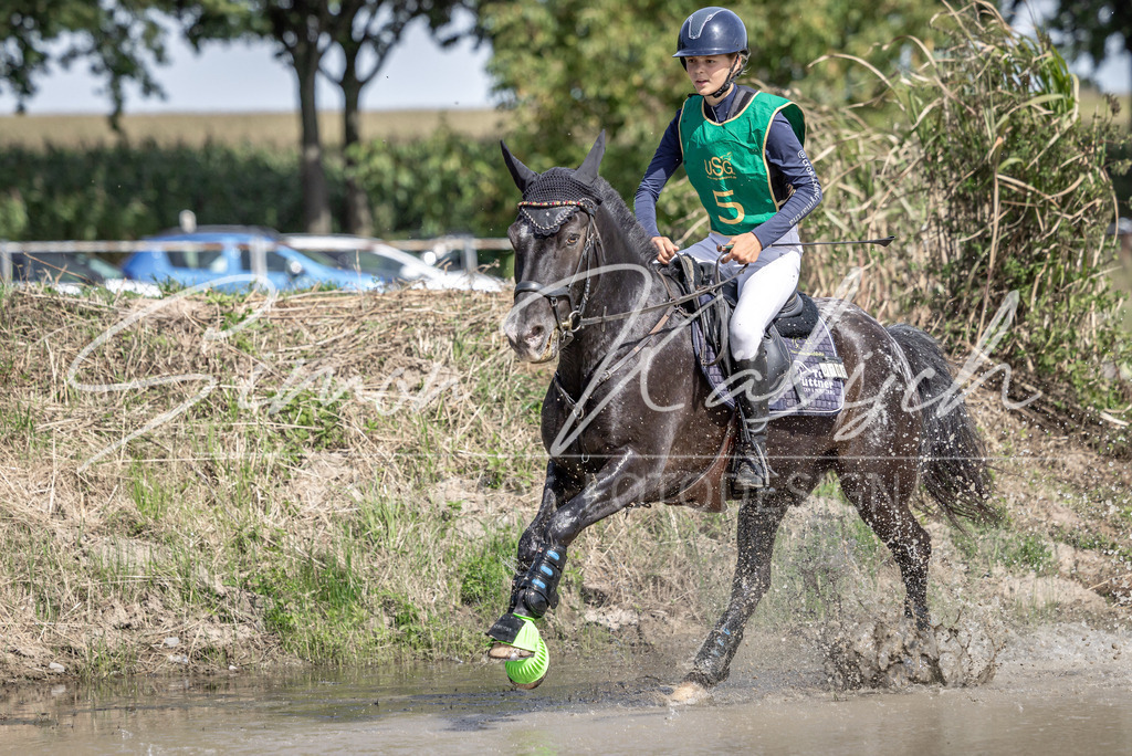20250907-_3LI0856 | Tierfotografie Pferde, Hunde, Katzen, Haustiere.
Turnierfotografie Reitturniere, Reiten, Springreiten, Dressur in Hanau, dem Main-Kinzig-Kreis und dem Rhein-Main- Gebiet um Frankfurt