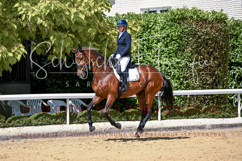 Schugtsche-Aluta25-49.Dressurpferdeprf.A-334 | Schugtsche Fotografie - Realisiert mit Pictrs.com