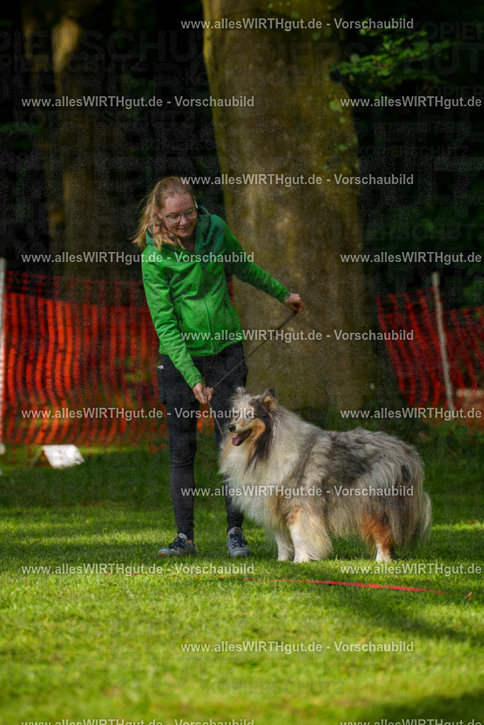 @allesWIRTHgut_Tierfotografie - www.allesWIRTHgut.de - 7R502100 | Professionelle Tierfotografie in Mönchengladbach von Daniel Wirth (allesWIRTHgut). Liebevolle & natürliche Bilder von Hunden & Katzen für unvergessliche Erinnerungen.