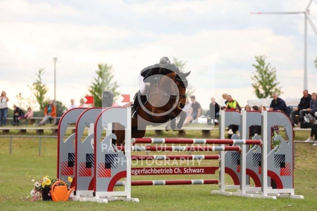 IMG_8030 | Pauline Ullmann Photography - Realisiert mit Pictrs.com