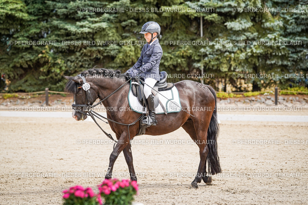 DSC02865 | Pferdegrafie