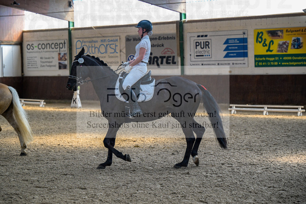 Reitturnier Voxtrup | Entdecke hochwertige Reitturnierfotos von Foto Oger. Professionell, emotional und authentisch – jetzt Lieblingsmomente im Shop bestellen.Deutschlandweite Turnierfotografie. - Realisiert mit Pictrs.com