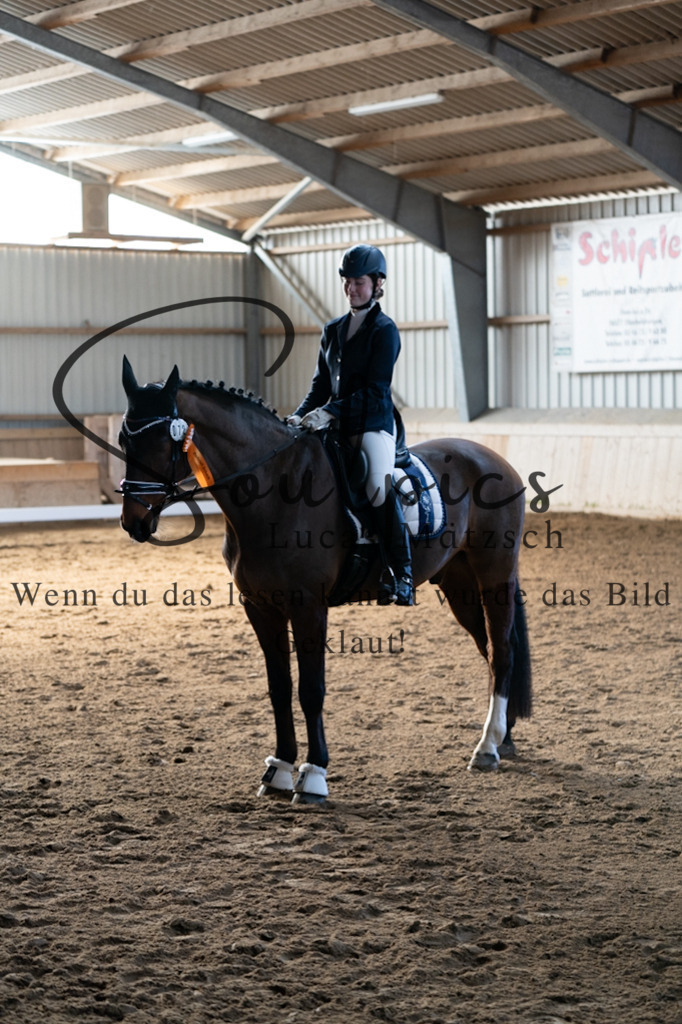 A7V05384 | Pferdefotograf