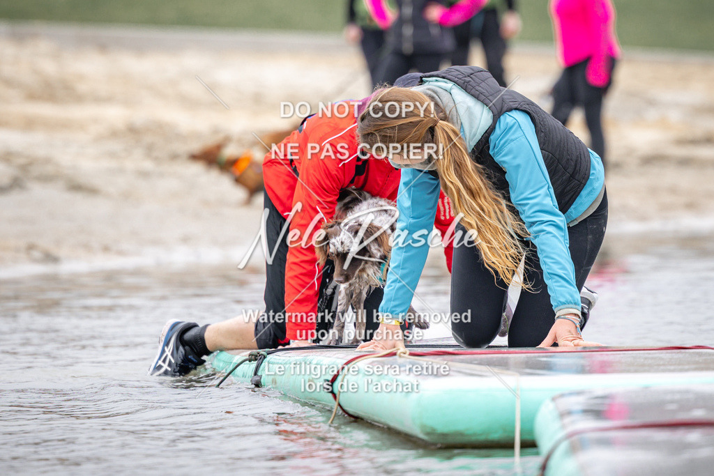 nelerasche_Hulsbeek_Sa1030-1100_341 | nelerasche