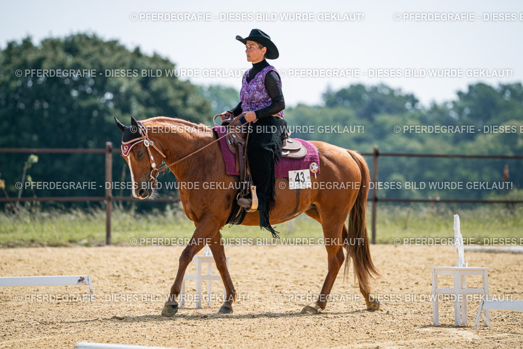 DSC00249 | Pferdegrafie