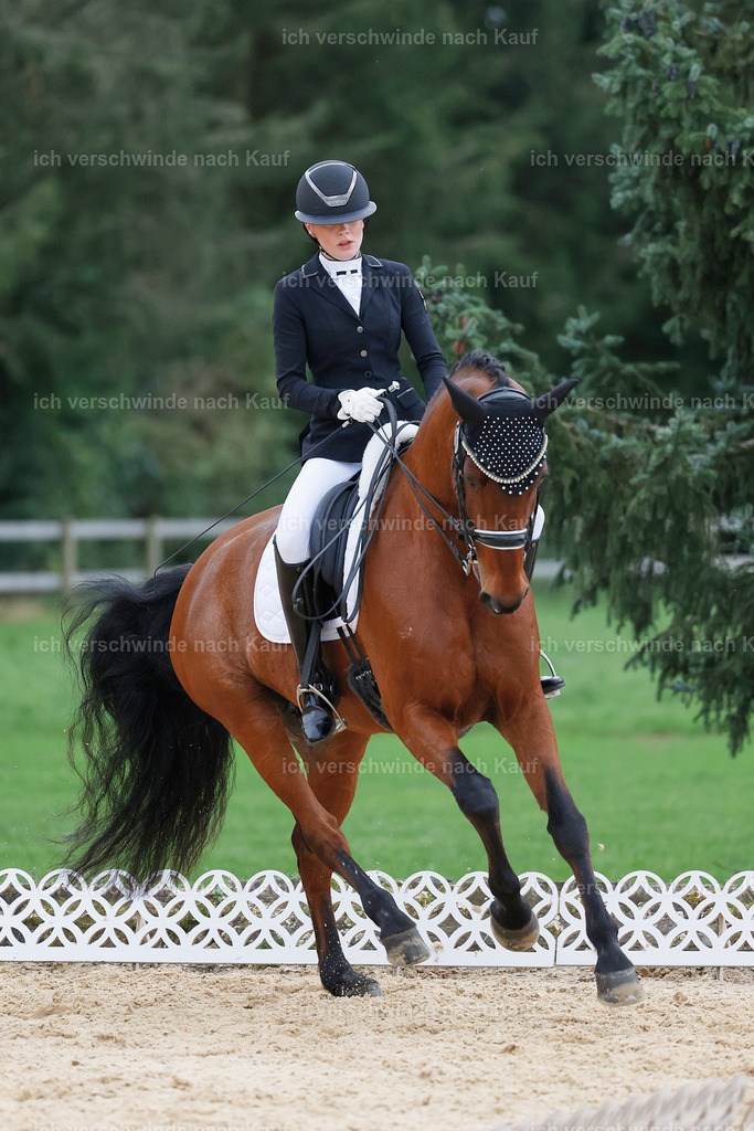 04_2-006-Dressur M__ -StoibPH-2974 | working equitationturnier fotograf videograf stoibphotography marixx film working equitation deutschland reitsport turnierfotografie eventfotografie equestrian events