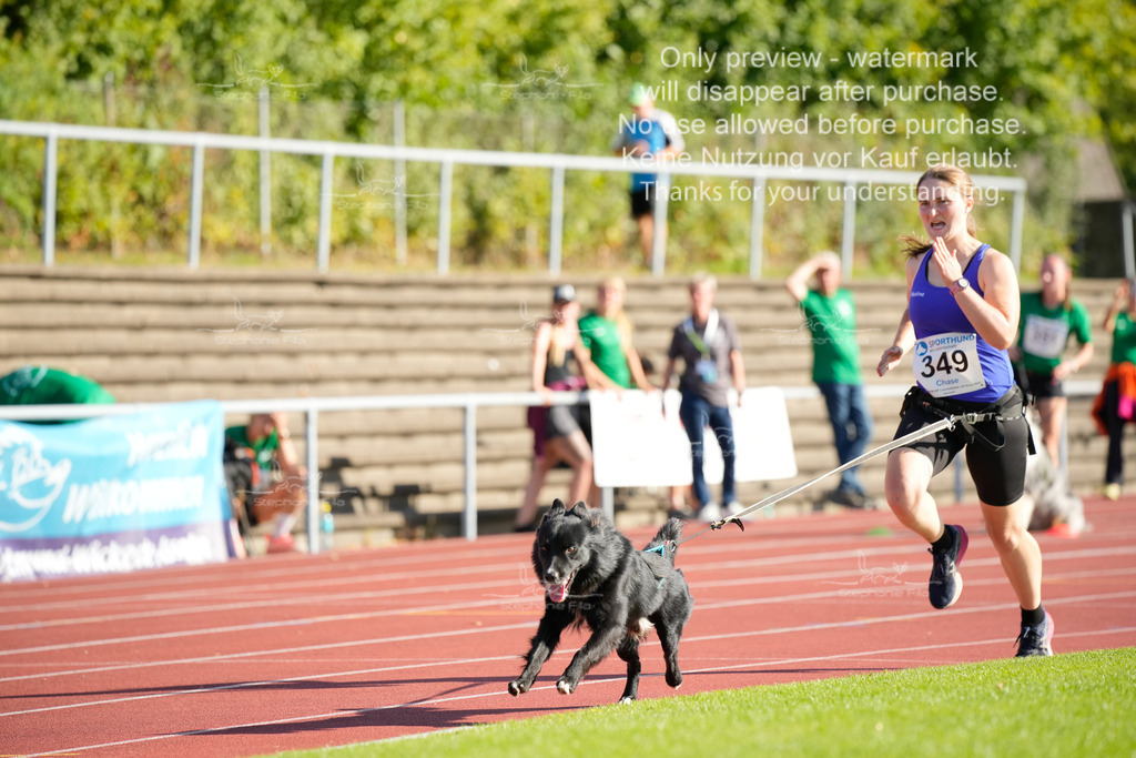 Sonntag_Staffel (166 von 336) | stephaniefillaphotographie - Realisiert mit Pictrs.com