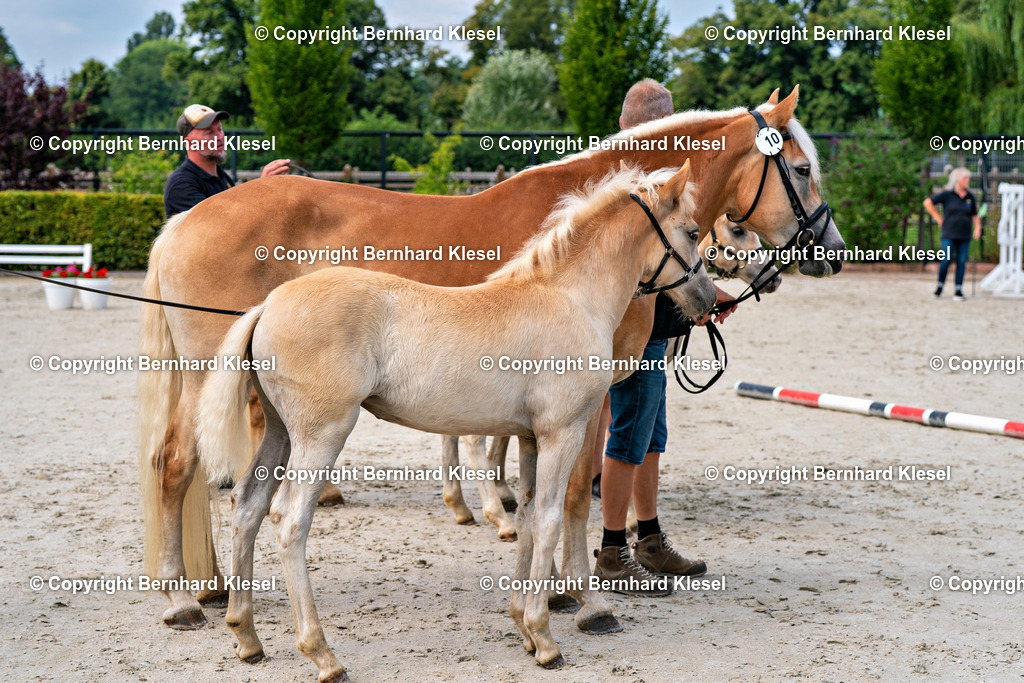 2A909872 | foto-team-bernhard - Realisiert mit Pictrs.com