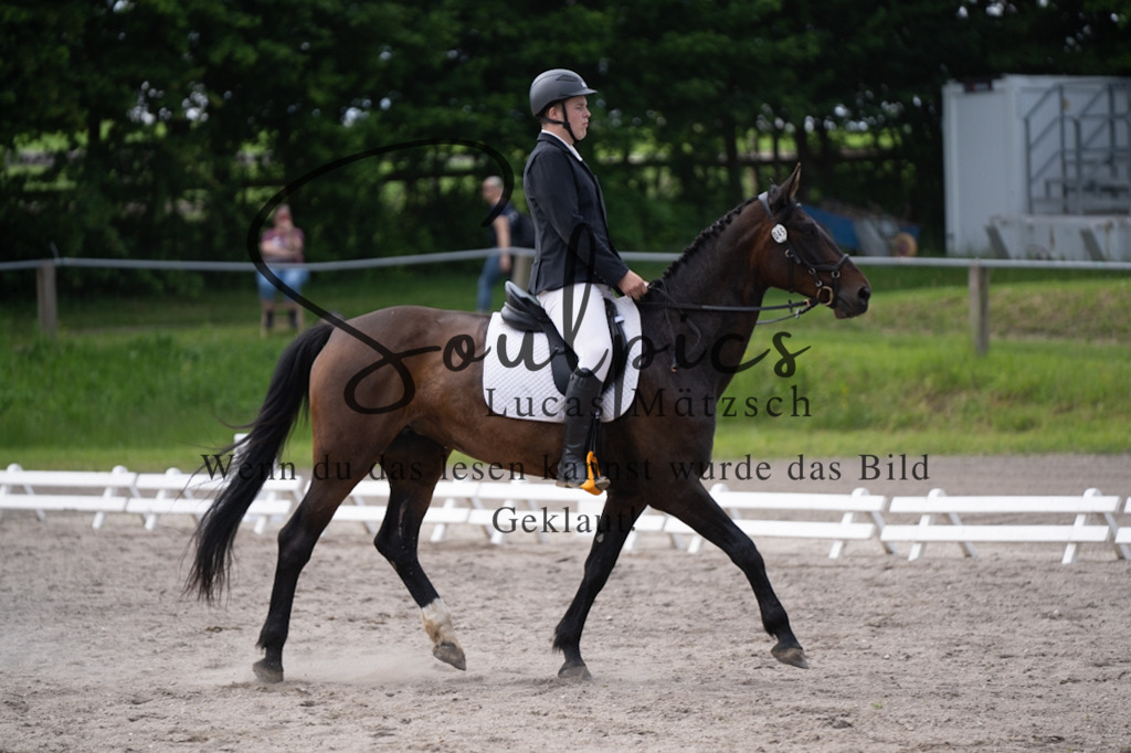 A7V02668 | Pferdefotograf