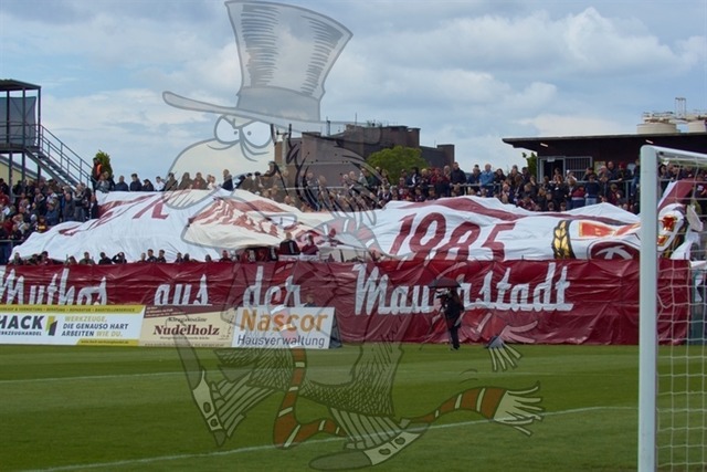 BFC Dynamo vs. FSV Zwickau 025 | mythos-online-redaktion