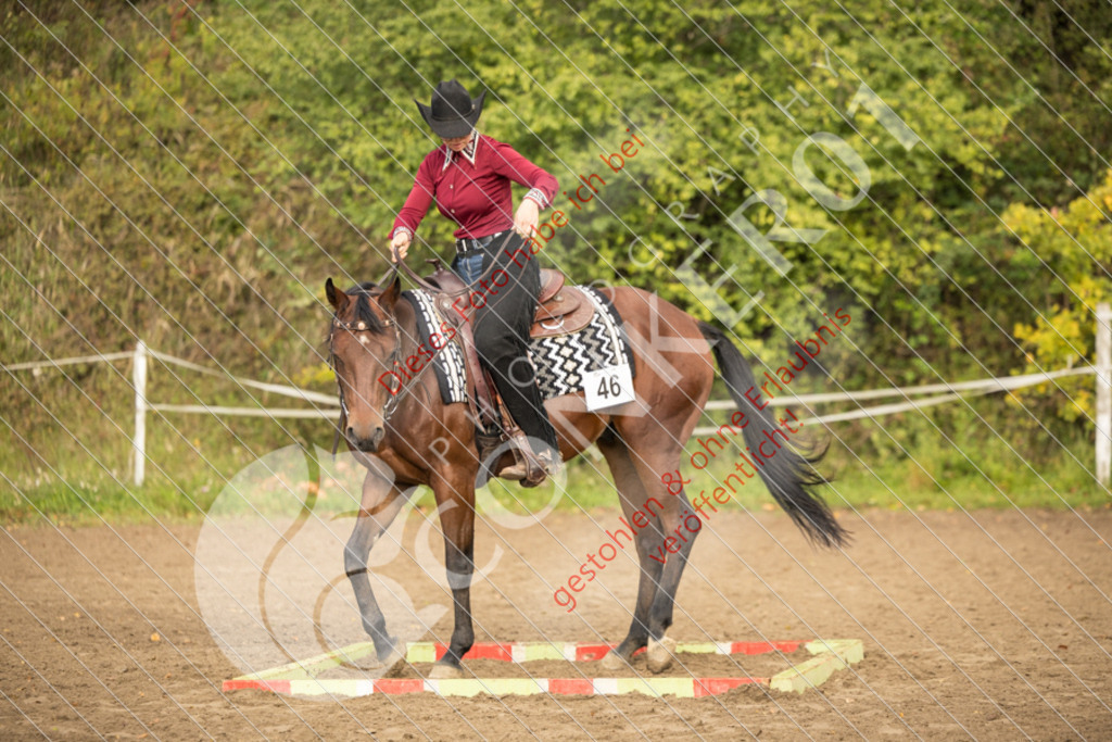 CON_9051 | Sport-, Event- und Tierfotos in Profiqualität. Einfach auswählen, bestellen und herunterladen. Dein Moment – perfekt festgehalten.