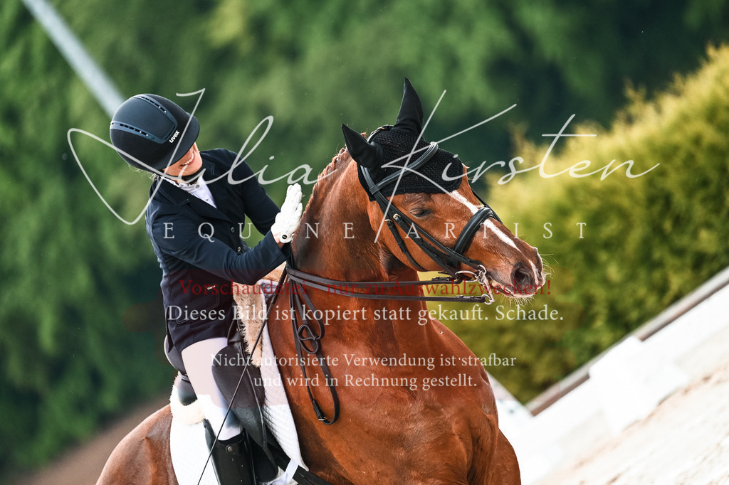 DSC_4261 | Pferde- und Turnierfotografie in Westsachsen. Pferdeportraits, Auftragszeichnungen und intuitive Kunst.