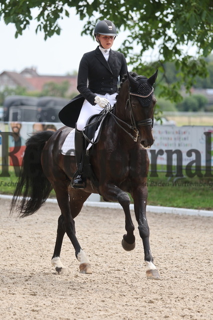 Meißenheim_2023_Prfg.Nr.13_Dressur_Kl.S_Lia Weil_Moosbend_s Fauntleroy (12) | Alle Fotos der Reiterjournal Fotografin Doris Matthaes im Reiterjournal Online-Fotoshop. - Realisiert mit Pictrs.com