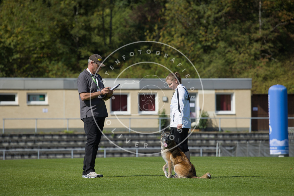 0L8A2572 | Hundefotografie, Tierfotograf, Pfotenfotografie, Fotoshooting Hund, Hunde Portrait, Hundesport, Hundeportraits, Heideshooting, Hunde, Sportfotograf, Hundefotograf, Turnierhundsport, THS,  - Realisiert mit Pictrs.com