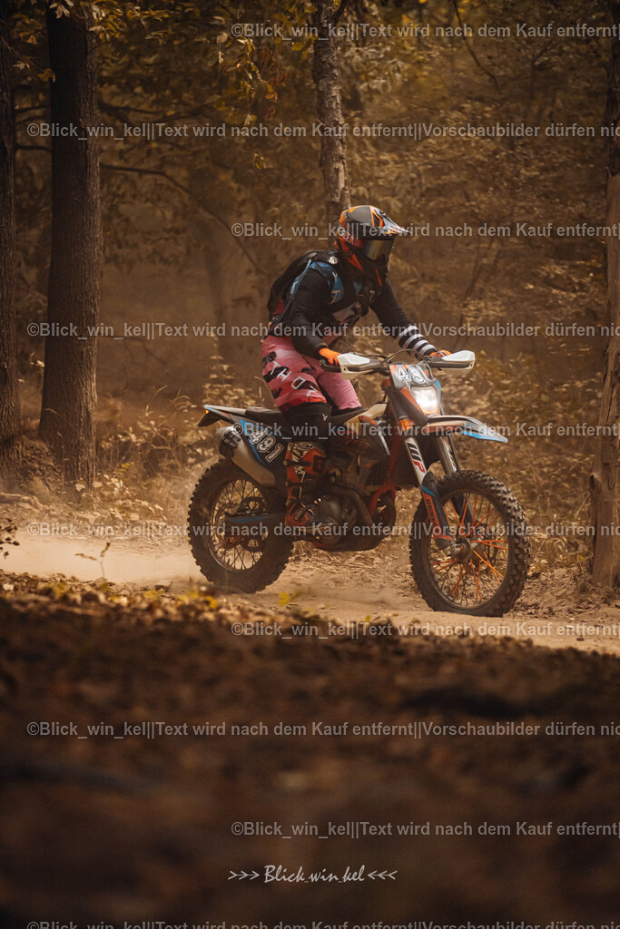 E68A7836 | blick_win_kel