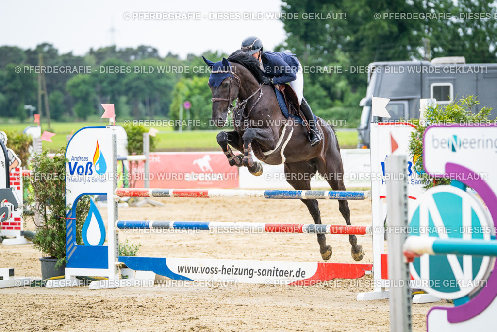 DSC06149 | Pferdegrafie