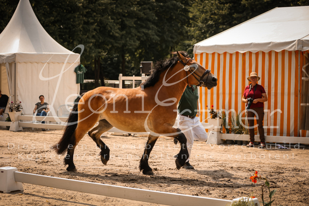 2.Sa00083 | Leoni Ertmer Photography - Realisiert mit Pictrs.com