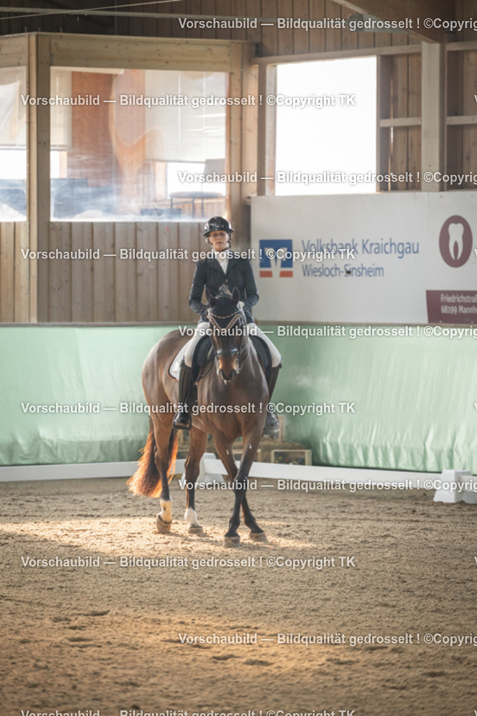 _D5A4030 | Emotionale Pferde- & People-Fotografie rund um Heidelberg, Leimen & Umgebung. Natürliche Fotos von Pferd, Mensch & Familie. Jetzt Termin sichern!