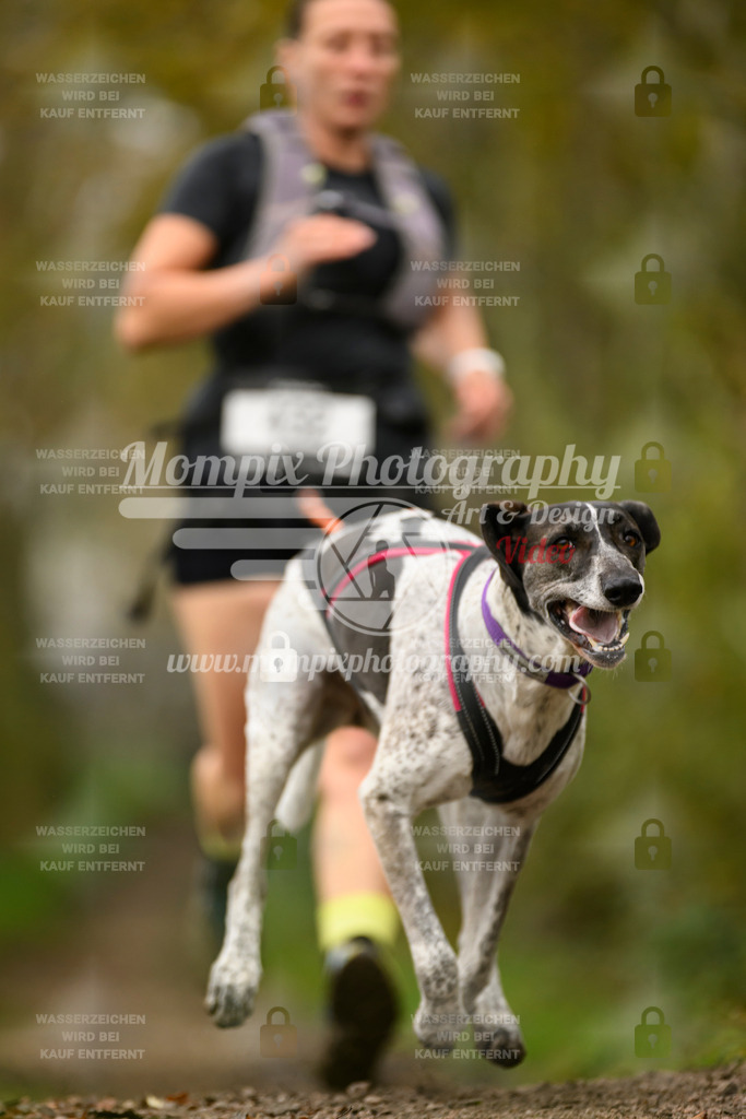 MompixPhotography_20TSB_E6_Run-159 | PayLife