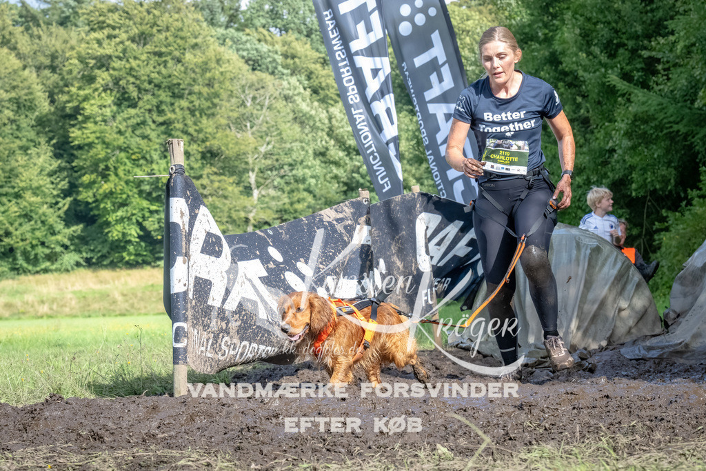 1656_ZZ90554-Bearbeitet | kk-dogfotos