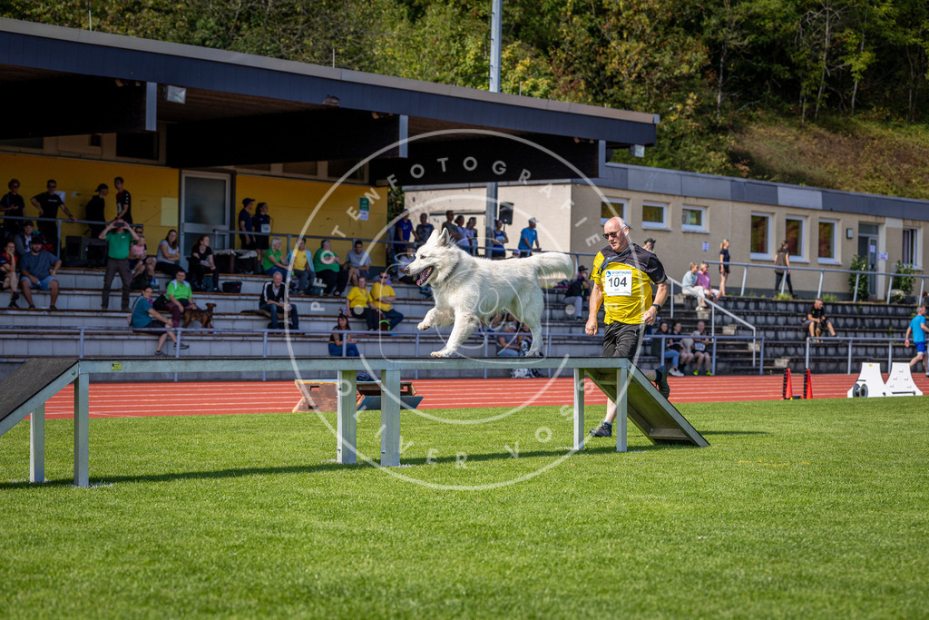 Pfotenfotografie_DV3A8111 | Hundefotografie, Tierfotograf, Pfotenfotografie, Fotoshooting Hund, Hunde Portrait, Hundesport, Hundeportraits, Heideshooting, Hunde, Sportfotograf, Hundefotograf, Turnierhundsport, THS,  - Realisiert mit Pictrs.com