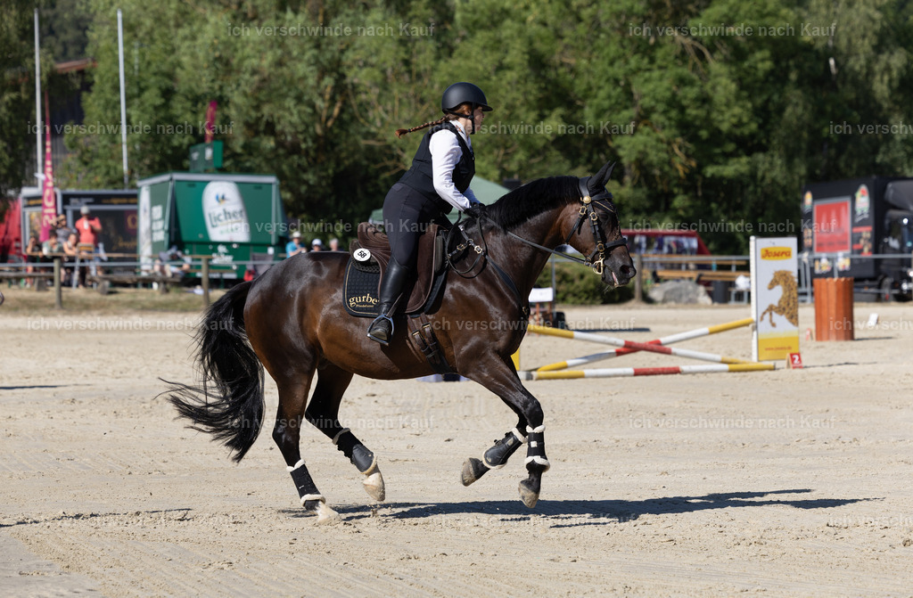WL_Speed_58_KerstinBernhardt-6 | working equitationturnier fotograf videograf stoibphotography marixx film working equitation deutschland reitsport turnierfotografie eventfotografie equestrian events