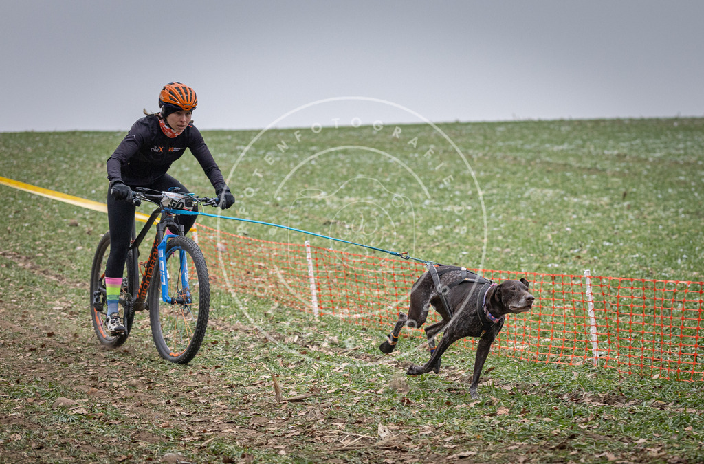 Pfotenfotografie_DV3A1047 | Hundefotografie, Tierfotograf, Pfotenfotografie, Fotoshooting Hund, Hunde Portrait, Hundesport, Hundeportraits, Heideshooting, Hunde, Sportfotograf, Hundefotograf, Turnierhundsport, THS,  - Realisiert mit Pictrs.com