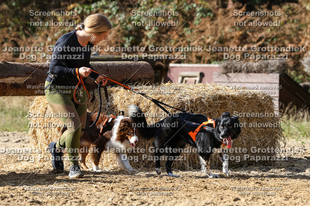 Dog Paparazzi - Strongdog 10-25-4883 | Dog Paparazzi Jeanette Grottendiek Fotografie & Videografie - Realisiert mit Pictrs.com