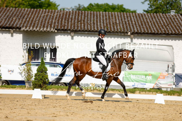 _62_2672 | larahueckfotografie