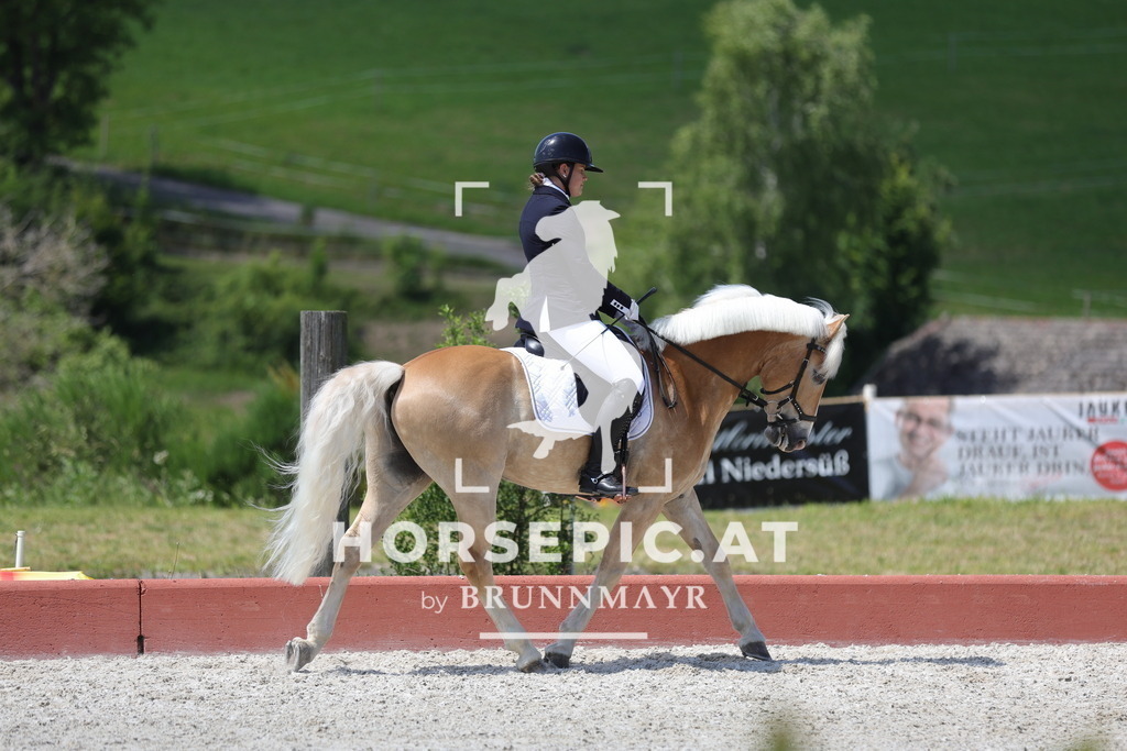 0P6A1197 | Willkommen bei Brunnmayr - Design & Fotografie – Ihrem Spezialisten für Reitturniere und Pferdeveranstaltungen in Oberösterreich, Salzburg und Bayern! Seit über 17 Jahren sind wir leidenschaftlich dabei.