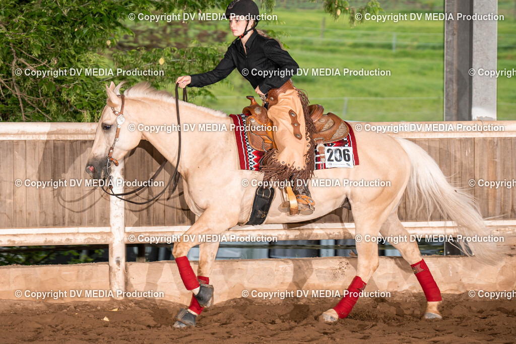 Erbach Tag 1-1107 | dv-media-shop - Realisiert mit Pictrs.com