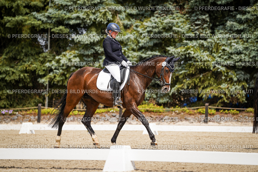 DSC03557 | Pferdegrafie