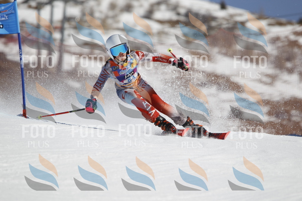 _U3G9453 | holidayphoto