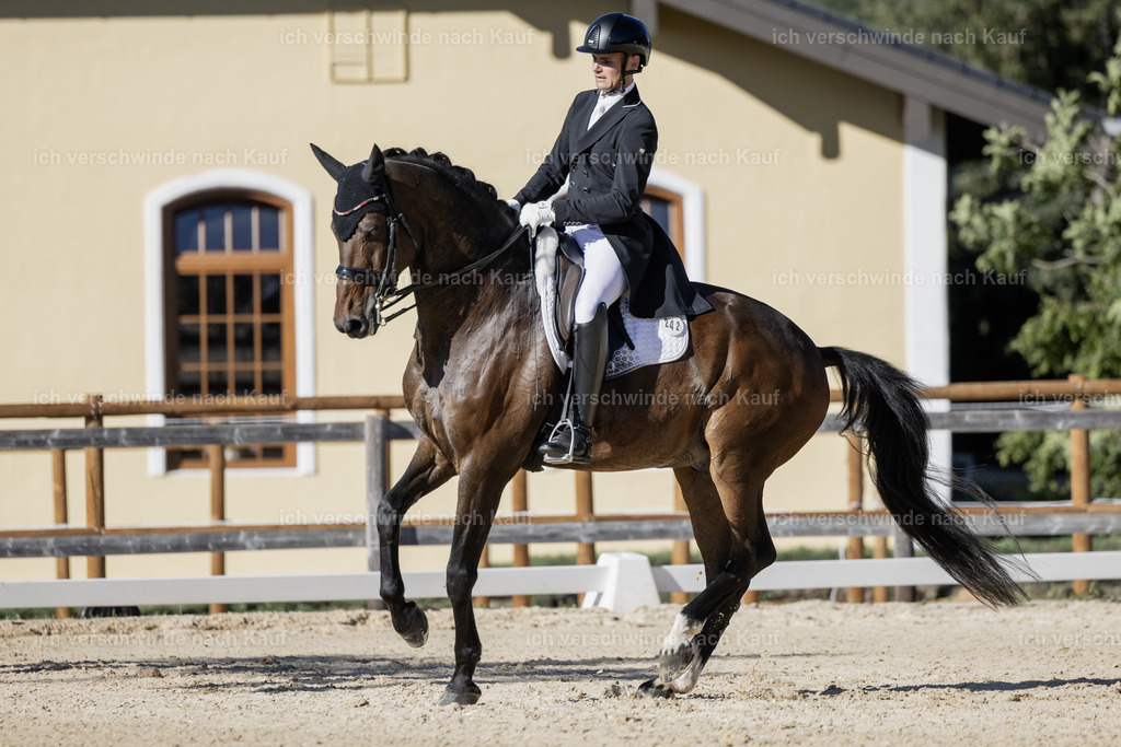 FHC2026_P09_242_18616 | Fichtenhof Classics 2026 – Grand Prix de Dressage - VOLTAIRE Design Preis, Reitanlage Fichtenhof, Sch ftlarn