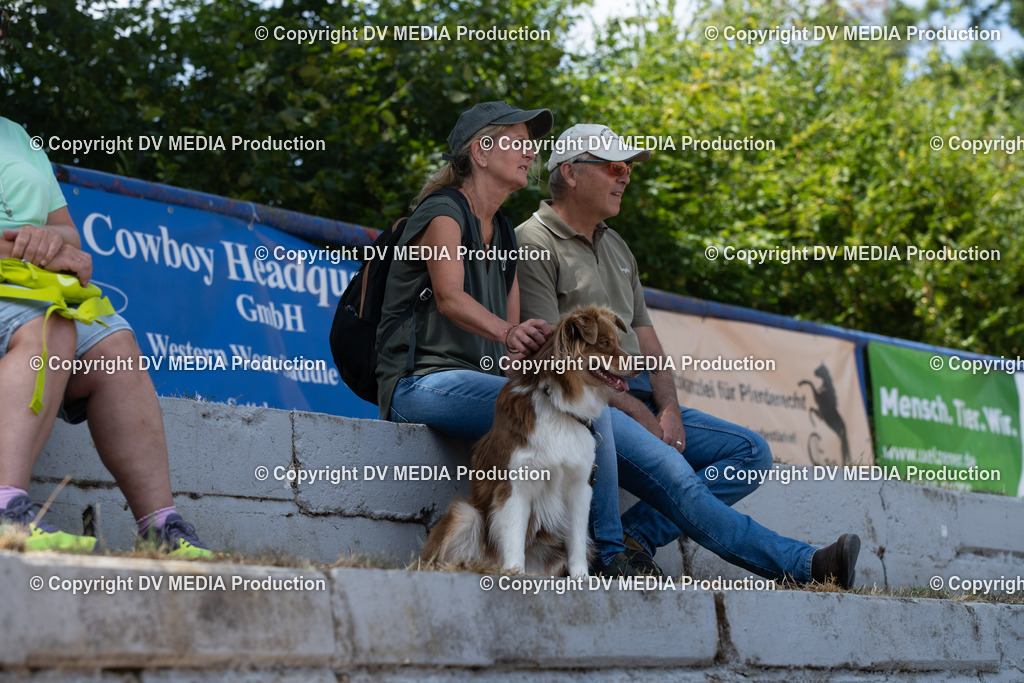 ZS3_9975 | dv-media-shop - Realisiert mit Pictrs.com