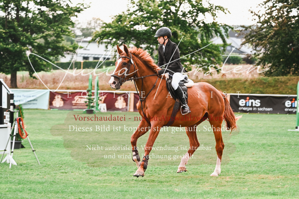 DSC_5844 | Pferde- und Turnierfotografie in Westsachsen. Pferdeportraits, Auftragszeichnungen und intuitive Kunst.