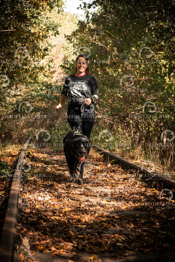 madeleinebirr.fotografie.2026.cc.hunsrueck.12-13Uhr.35 | hundefotografie-birr