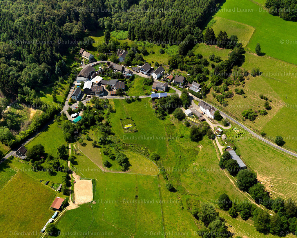 3105540 | Dellingen, Forst