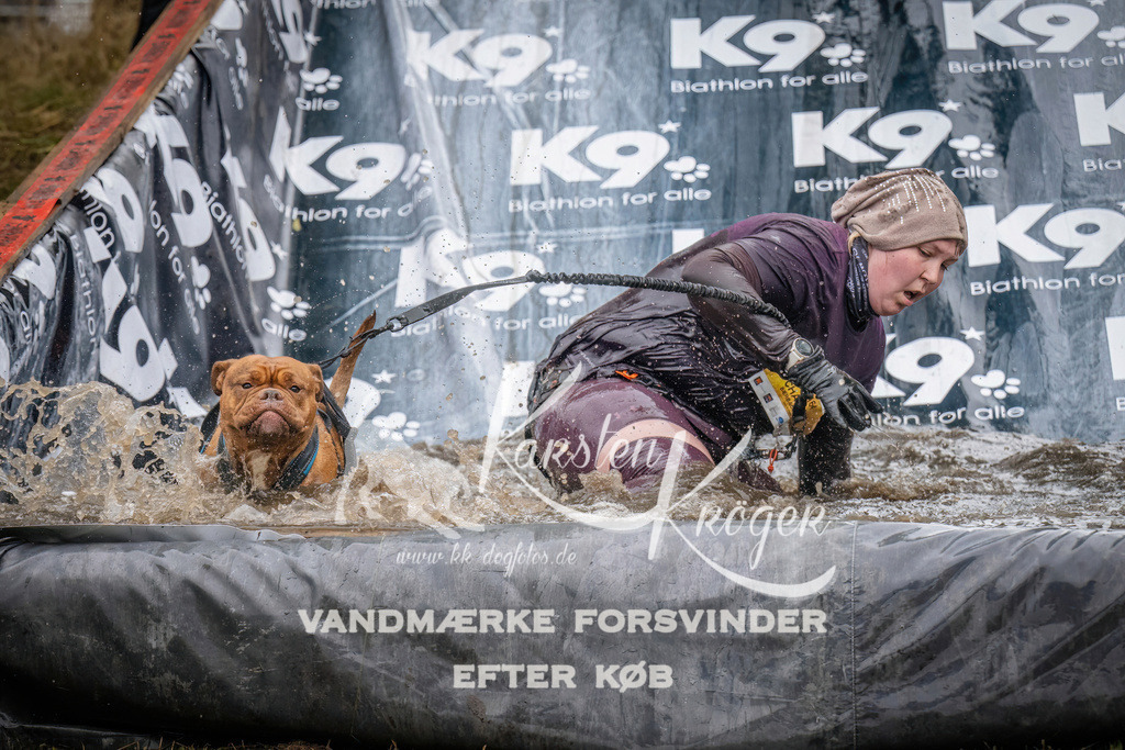 1225_ZZ94993 | kk-dogfotos
