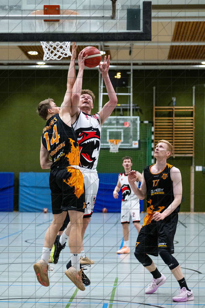 2. Regionalliga West | 07.12.2024 | TuS Bad Essen vs. BTB Royals Oldenburg | 2. Regionalliga West | 07.12.2024 | TuS Bad Essen vs. BTB Royals Oldenburg - - - - - CREDIT, www.bullenfotos.de, Martin König, Hörner Weg 40, D-49078 Osnabrück, +4917663732967, Nutzung und Weitergabe nur zu den vereinbarten Zwecken. Presseanfragen an Urheber. Alle Rechte beim Urheber. - - - - - - Realisiert mit Pictrs.com