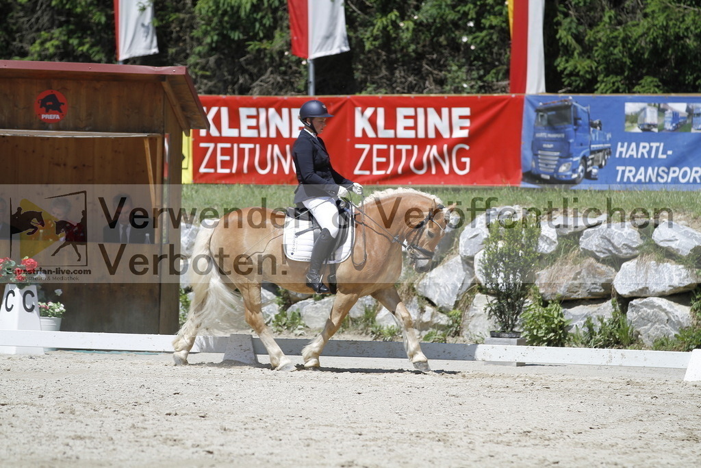 _MG_5287 | equestrian-live-com
