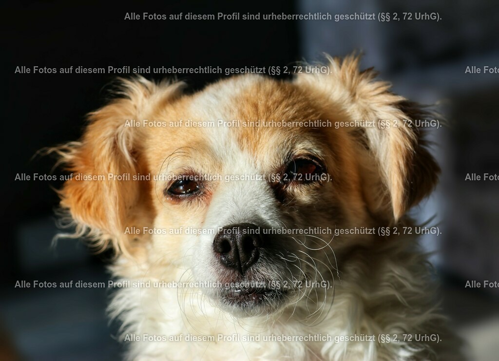 20240224094333_0C4A1832_2-01_2 | krollfotografie - Realisiert mit Pictrs.com