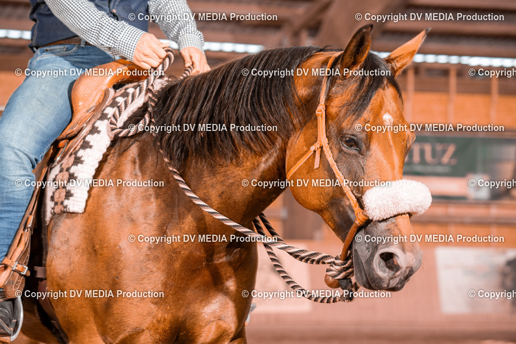 NE300572 | dv-media-shop - Realisiert mit Pictrs.com