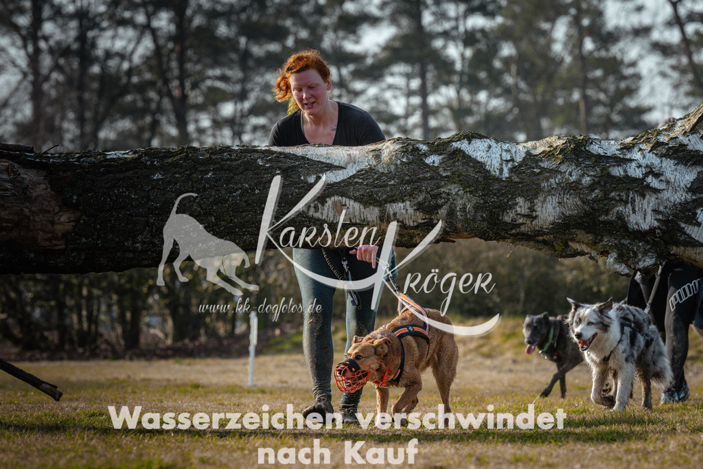 0929_ZZ99156 | kk-dogfotos