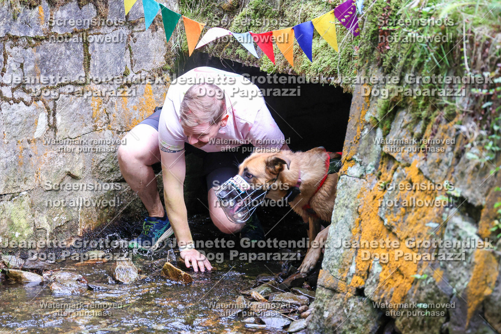 Dog Paparazzi -  TH 26-63 | Dog Paparazzi Jeanette Grottendiek Fotografie & Videografie - Realisiert mit Pictrs.com