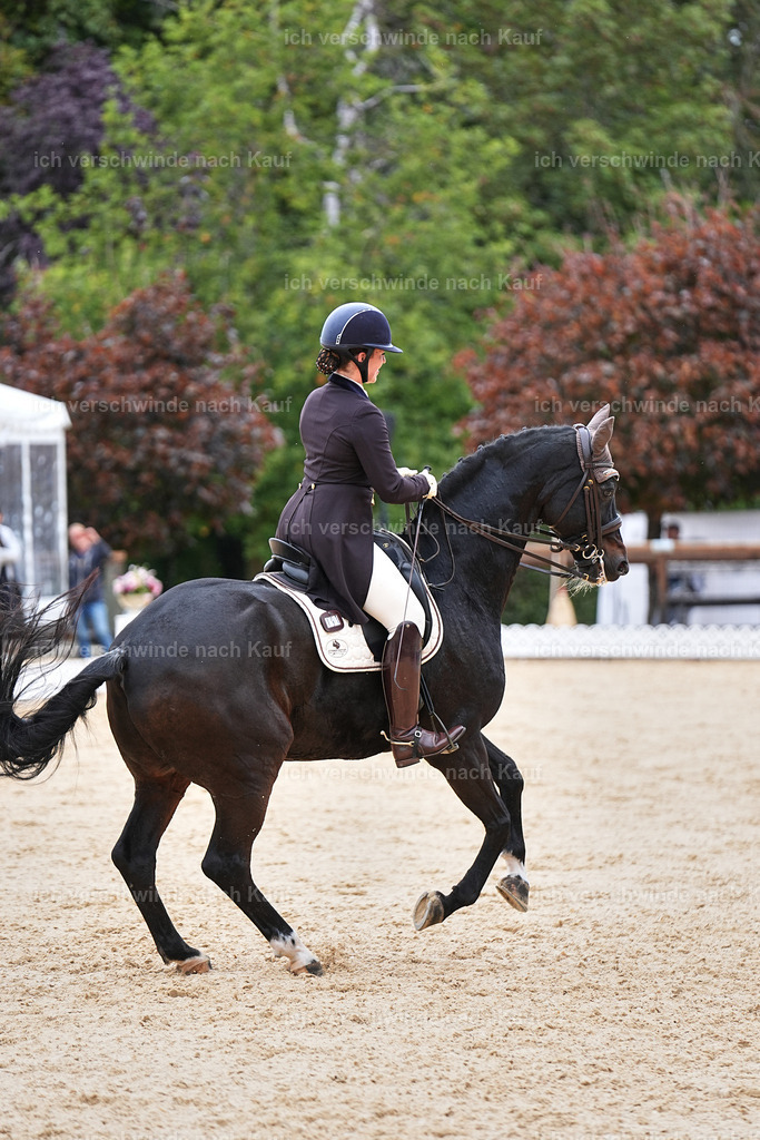 11-191-Dressur S___-Marixx-1804 | working equitationturnier fotograf videograf stoibphotography marixx film working equitation deutschland reitsport turnierfotografie eventfotografie equestrian events