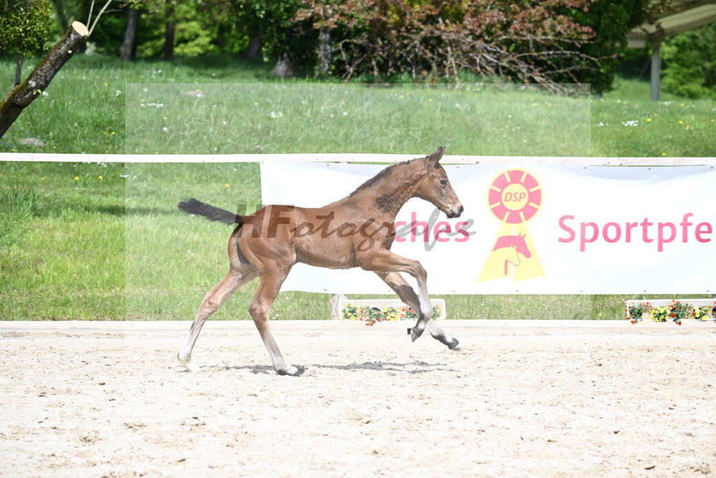 Va Bene x De Niro_HF_Eder_11240704 | hf-fotografie - Realisiert mit Pictrs.com